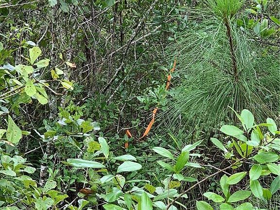 4th image of 6775 Sugarbush Ln