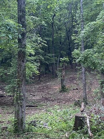 1st image of 296 County Road 263
