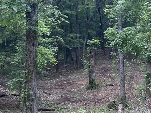 296 County Road 263, Niota, TN 37826