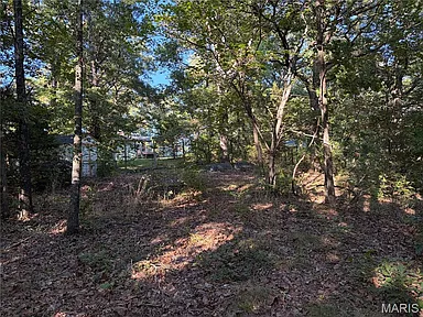 Property photo 67