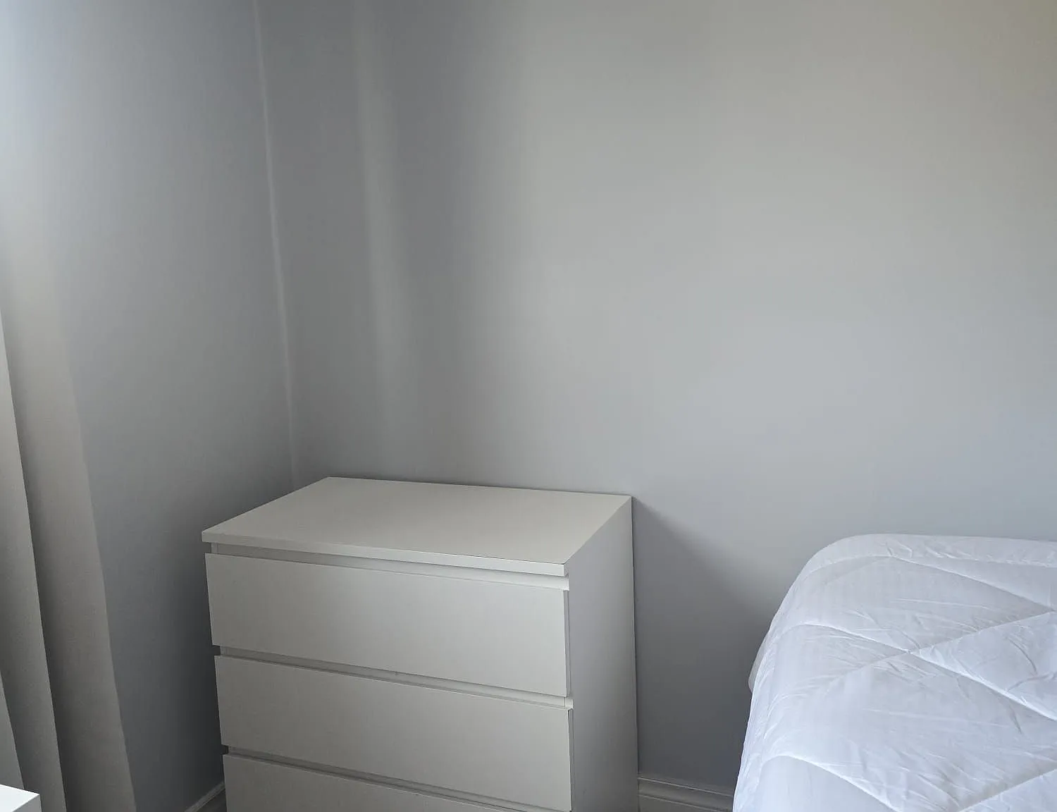 1 bed, $800 — Photo 3