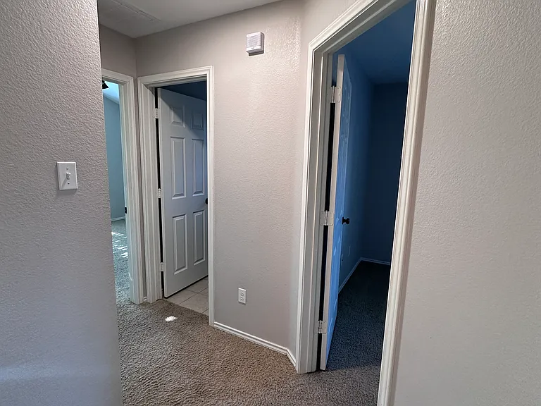 6902 Golden Oak Ln — Photo 20