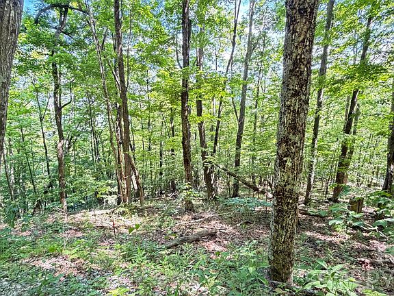 5th image of Tbd Greencove Dr
