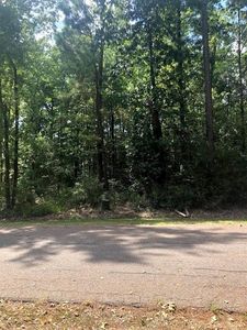 46 Green Tree Dr, Coldspring, TX, 77331