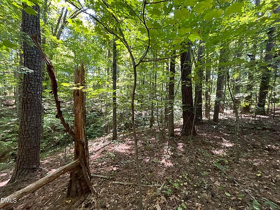 8th image of 0 Green Ln Lot 6D