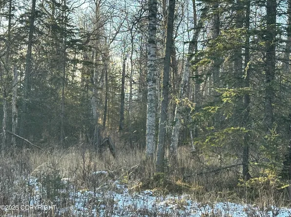 2180 E Groshan Loop, Wasilla, AK 99654