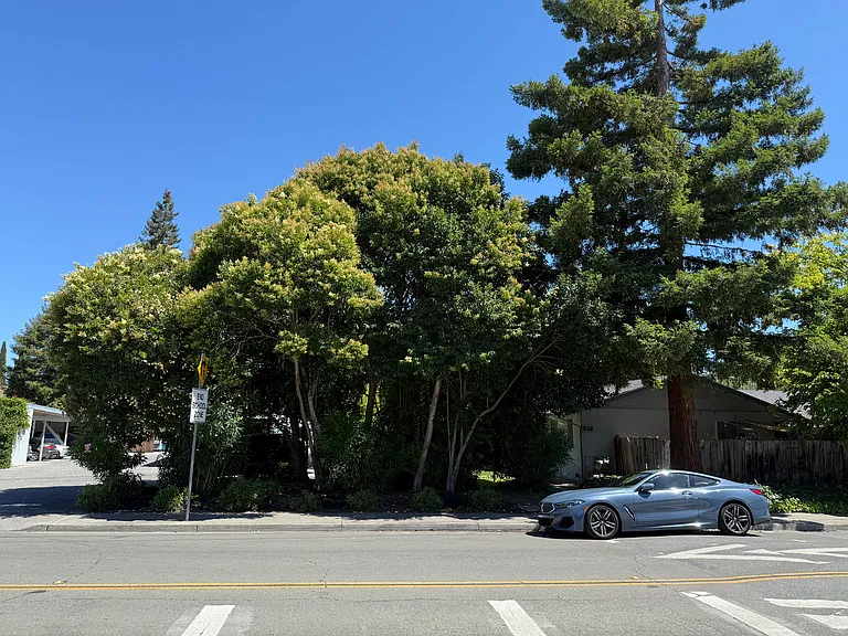517C Thompson Ave — Photo 5