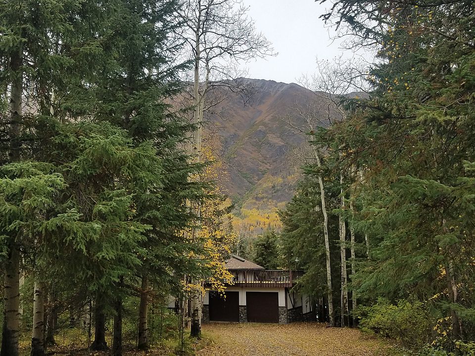 driveway to the house