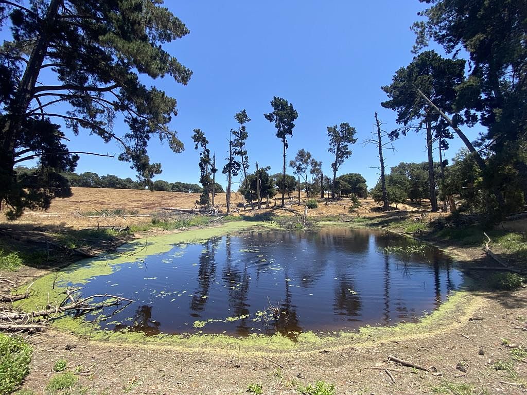 638 & 0 Cole Rd, Aromas, CA 95004 MLS ML81912482 Zillow