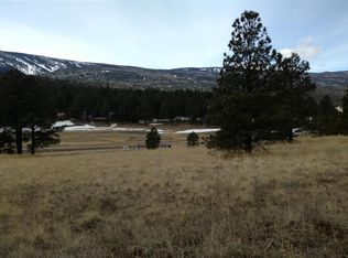 57 Mora Ranch Rd, Angel Fire, NM 87710