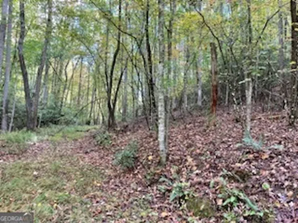 0 Waldos Ln, Murphy, NC 28906