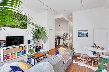 Rented by Bold New York