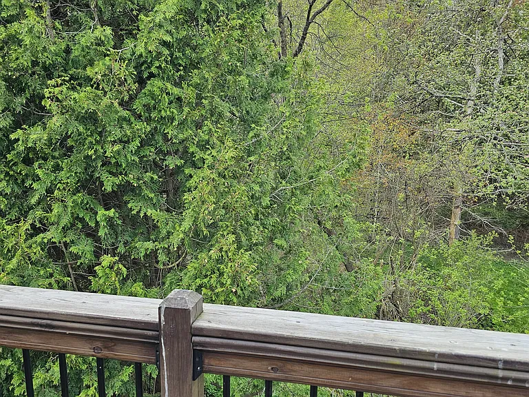 Balcony view