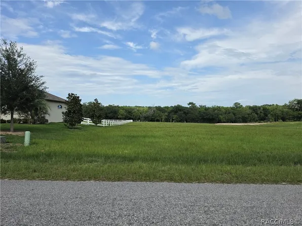1359 N Spend A Buck Dr, Hernando, FL 34442