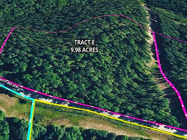 0 Tract E County Rd #516, Berryville, AR 72616