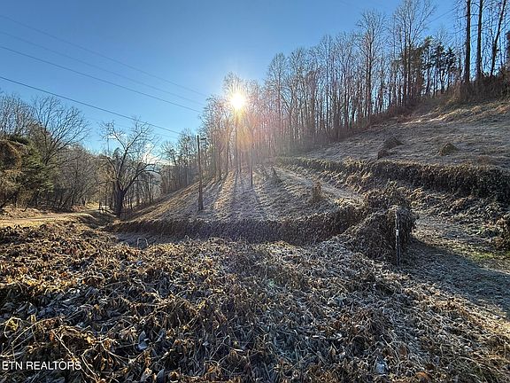 2nd image of S South Marlow Rd