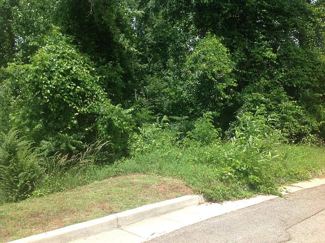 2nd image of 000 Belmeade Ct