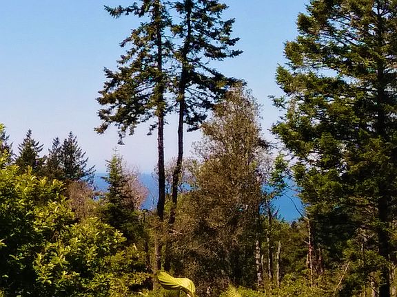 View From The Deck