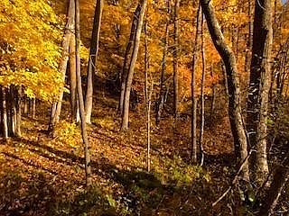 3rd image of LOT 29 Deer Lake Lane