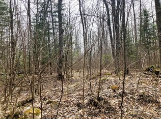 17808 Griffith Rd, Butternut, WI 54514