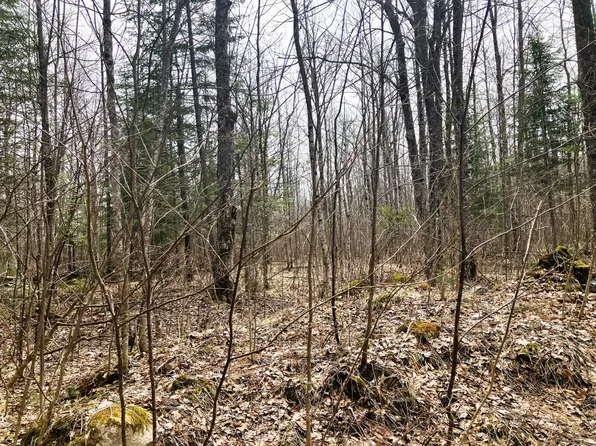 17808 Griffith Rd, Butternut, WI 54514