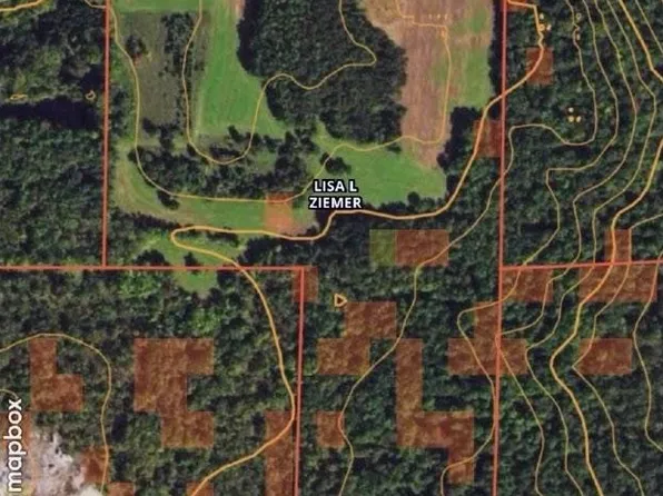 Magolski Ln, Fremont, WI 54940
