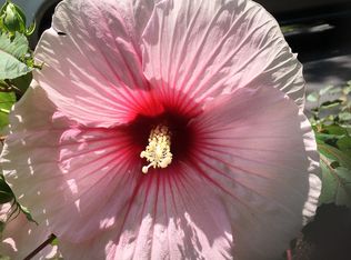 1347 Deerlick Dr, Columbus, OH 43228