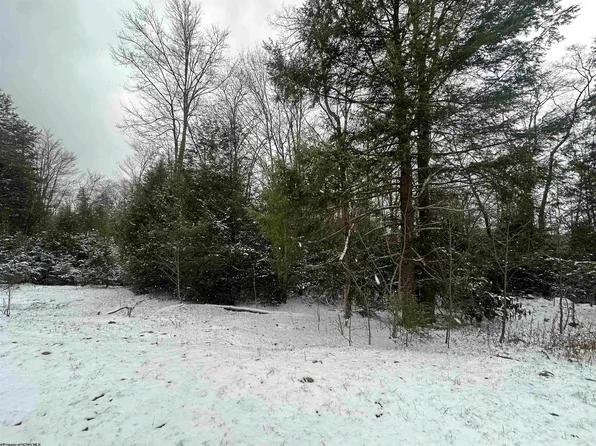 86 Gondola Ct, Davis, WV 26260