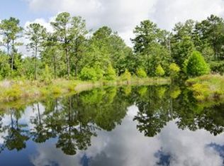 485 S Salt Rd, Monticello, FL 32344