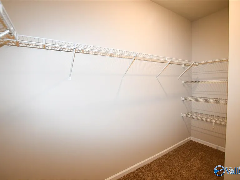 307 Ivyleaf Dr — Photo 10