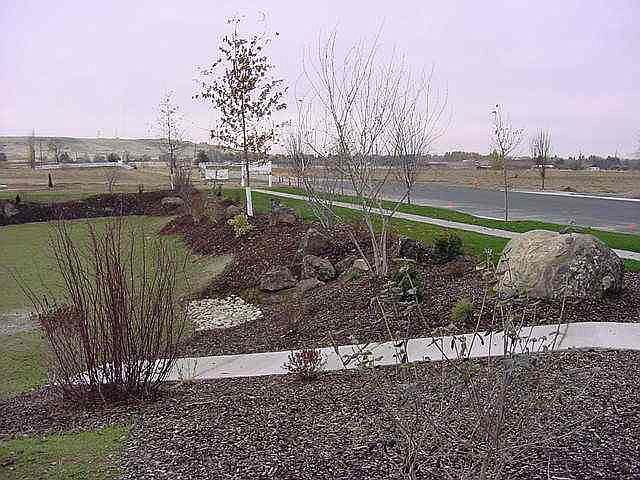 1st image of 1/5 Driftwood Dr