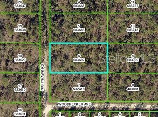 17480 Nighthawk Rd, Weeki Wachee, FL 34614