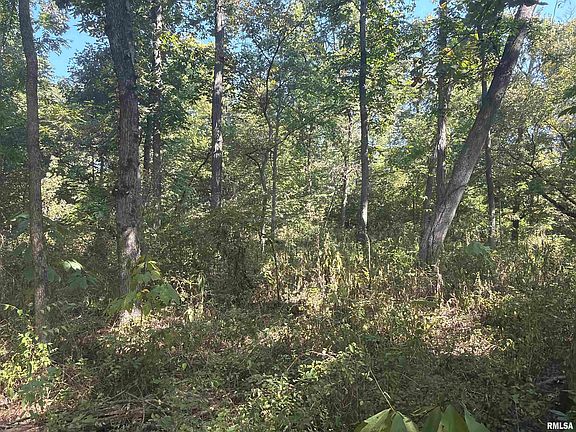 2nd image of 1252 State Highway 15