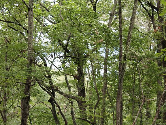 Lake in the background
