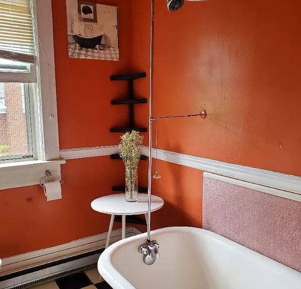 343 Walnut Ave SW #ROANOKE — Photo 5