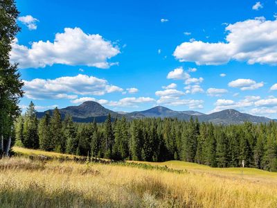 2340 Helen Thompson Rd, Sandpoint, ID, 83864