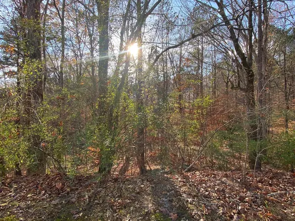 513 Montrose Cir #2, Birmingham, AL 35215