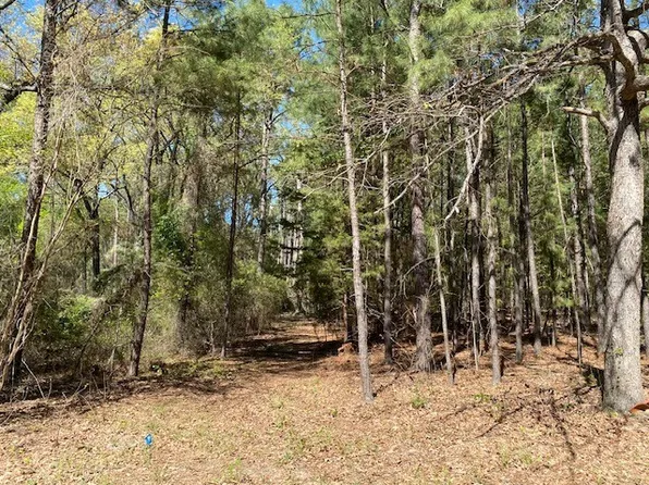 Armadillo Dr, Murchison, TX 75778