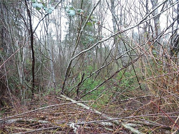 4th image of 1920 NE Tahuya River Dr