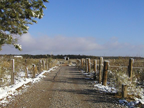 Driveway