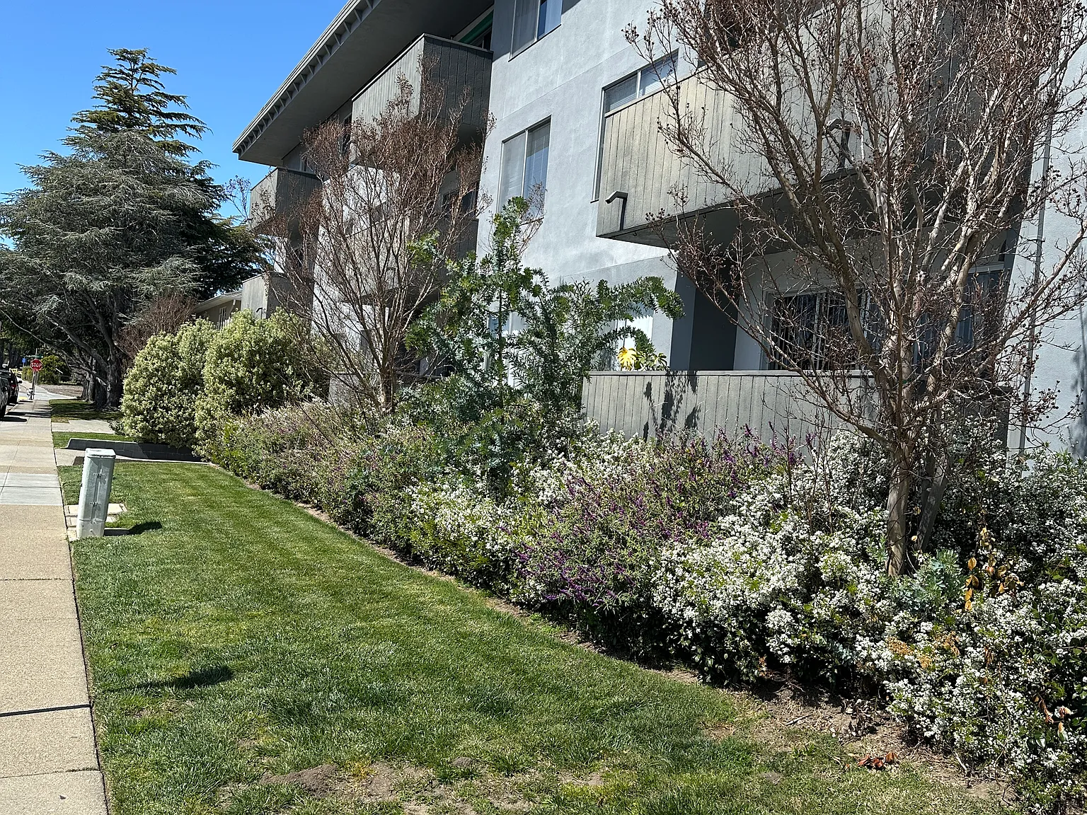 1840 Sequoia Avenue — Photo 3