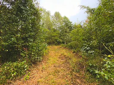 Property photo 39