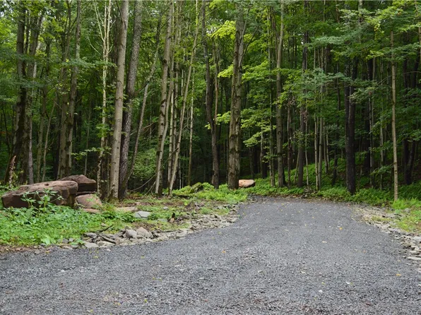 Lots 11.1 & 11.2 Hillside Rd, Andes, NY 13731