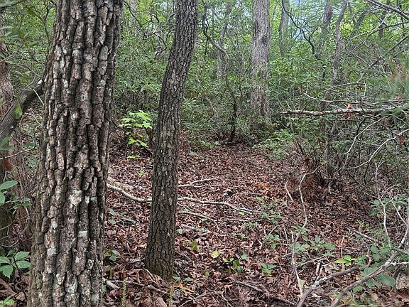 4th image of 6 Dobson Knob Loop