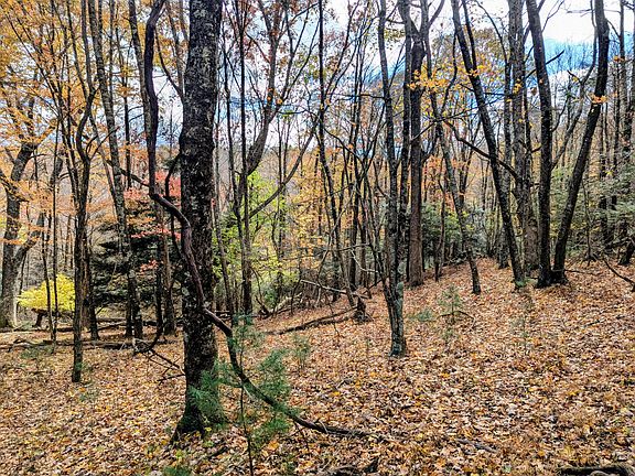 51st image of this home