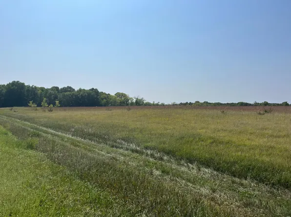 60th St NW, Annandale, MN 55302