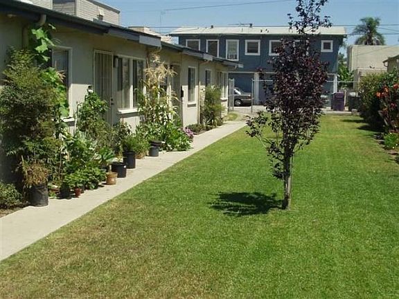 Large Grass Courtyard