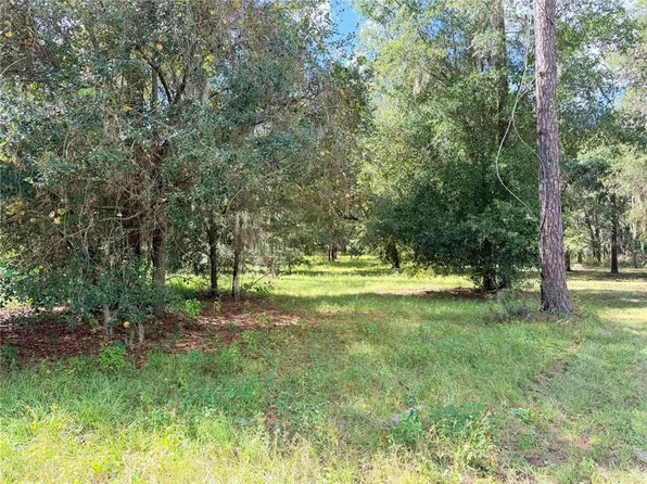 Bonsmara Dr Lot 37, Groveland, FL 34736