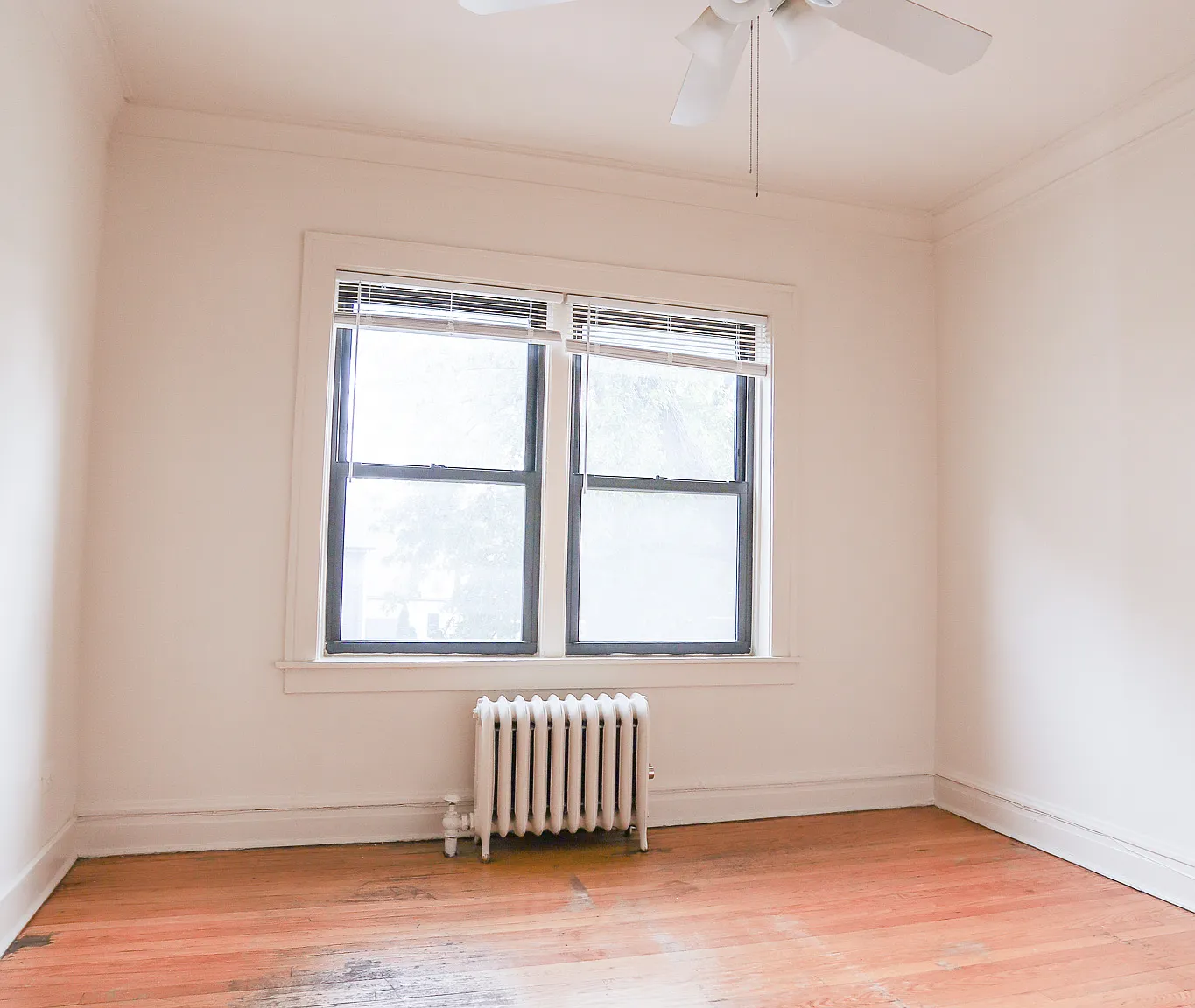 2 bed, $1,900 — Photo 4