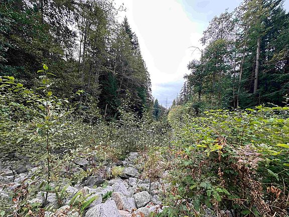 3rd image of 1815 Lower Rd